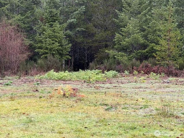 3791 NE Sandhill Road, Belfair, WA 98528