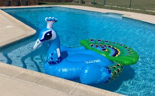 1570 Bryson Lane, Midlothian, TX 76065