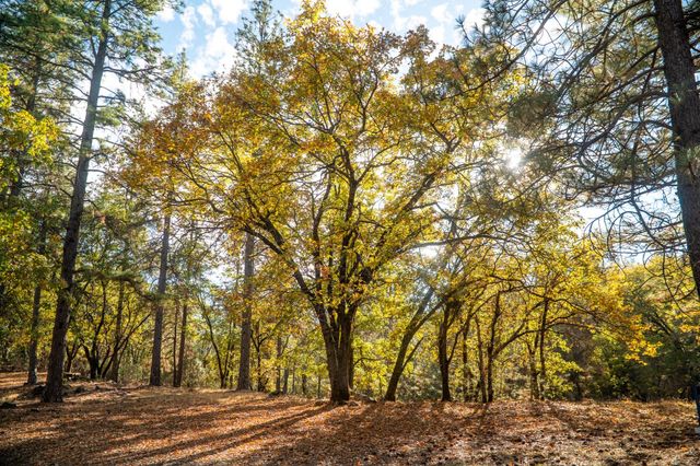 14990 Willow Glen Rd, Brownsville, CA 95919