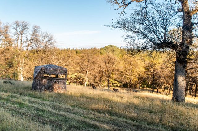 14990 Willow Glen Rd, Brownsville, CA 95919