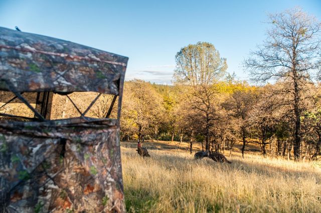 14990 Willow Glen Rd, Brownsville, CA 95919