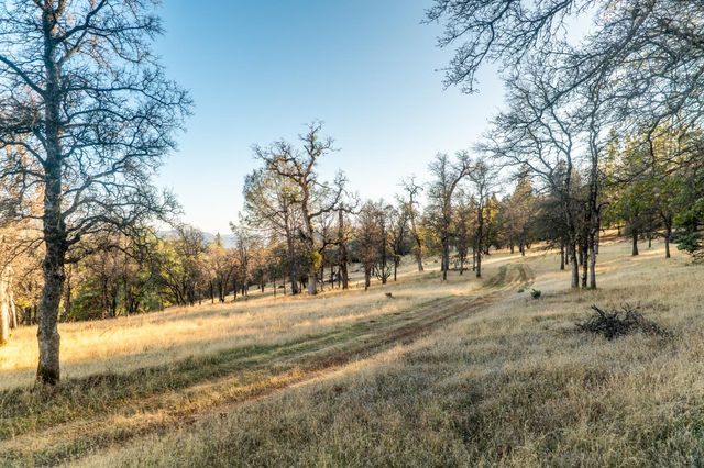 14990 Willow Glen Rd, Brownsville, CA 95919