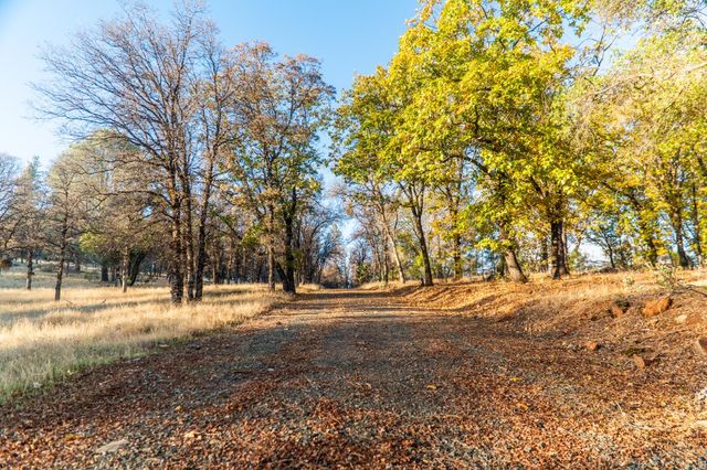 14990 Willow Glen Rd, Brownsville, CA 95919