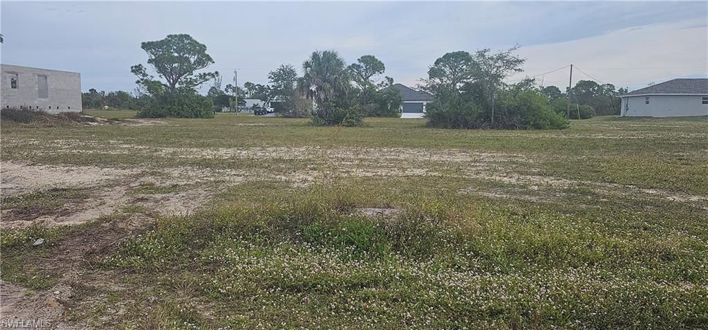 3217 NW 41st PL, CAPE CORAL, FL 33993 — exterior