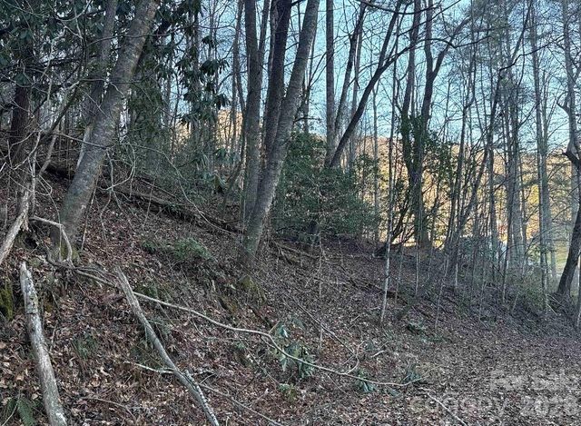 70 Earls Road, Bryson City, NC 28713