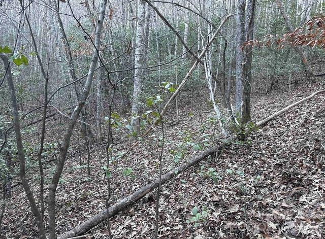 70 Earls Road, Bryson City, NC 28713