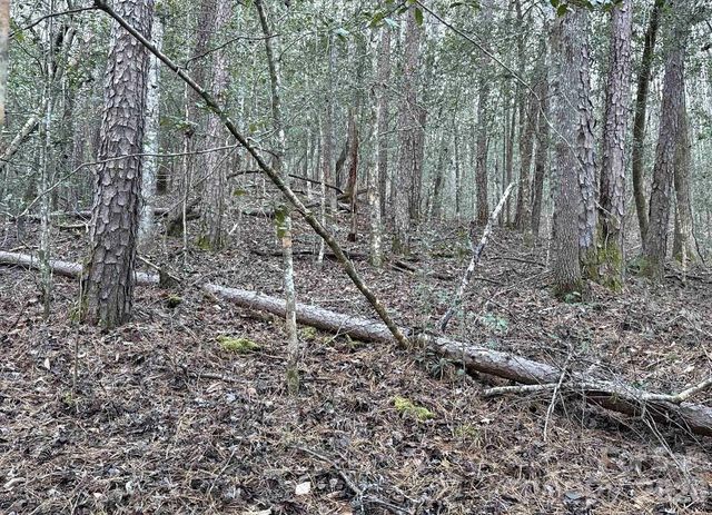 70 Earls Road, Bryson City, NC 28713