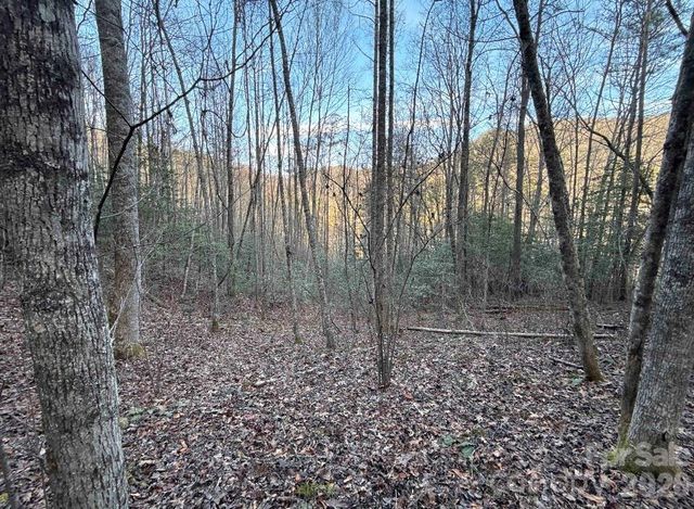 70 Earls Road, Bryson City, NC 28713