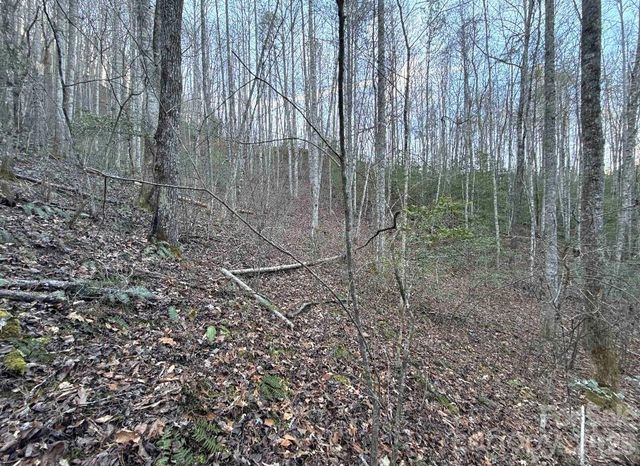 70 Earls Road, Bryson City, NC 28713