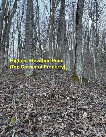 70 Earls Road, Bryson City, NC 28713