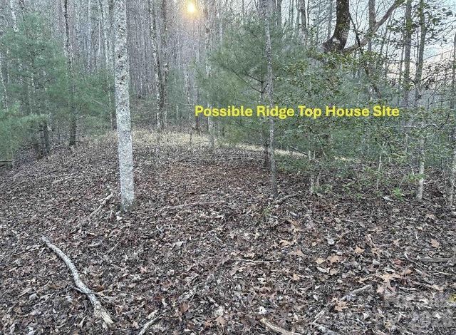 70 Earls Road, Bryson City, NC 28713