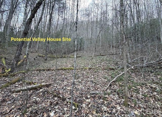 70 Earls Road, Bryson City, NC 28713