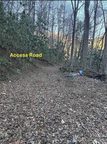 70 Earls Road, Bryson City, NC 28713