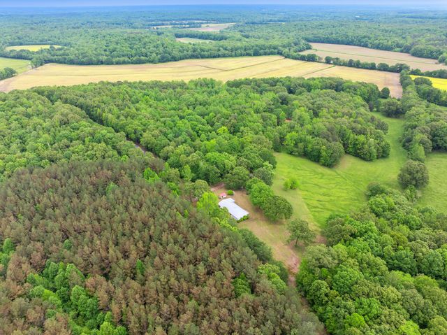 2855 Pine Knob Rd, Lexington, TN 38351