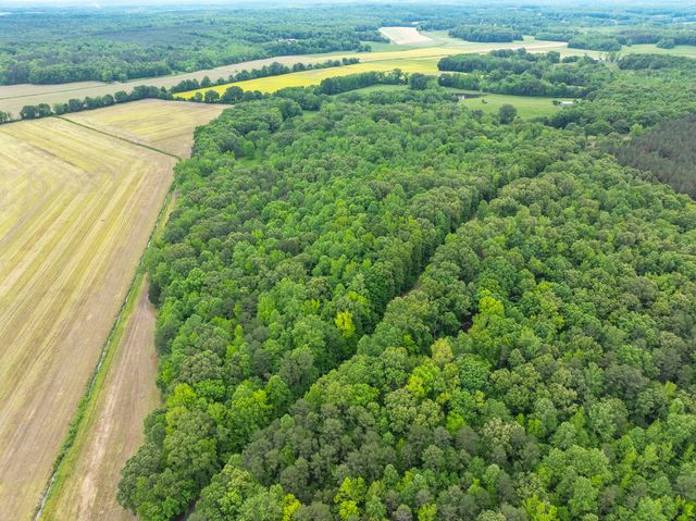 2855 Pine Knob Rd, Lexington, TN 38351