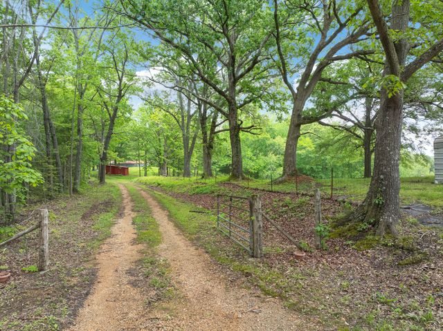 2855 Pine Knob Rd, Lexington, TN 38351