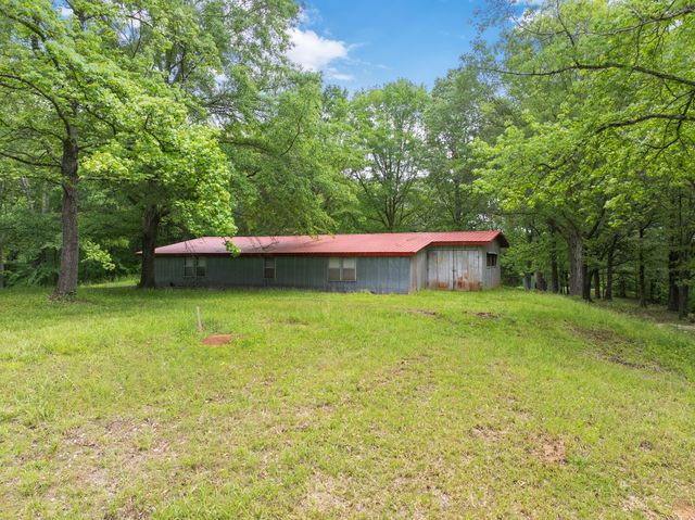 2855 Pine Knob Rd, Lexington, TN 38351