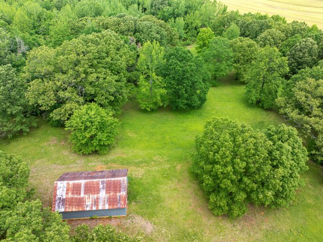 2855 Pine Knob Rd, Lexington, TN 38351