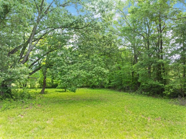 2855 Pine Knob Rd, Lexington, TN 38351