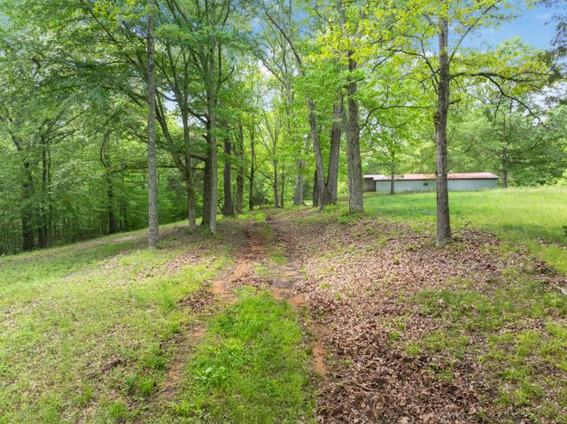 2855 Pine Knob Rd, Lexington, TN 38351