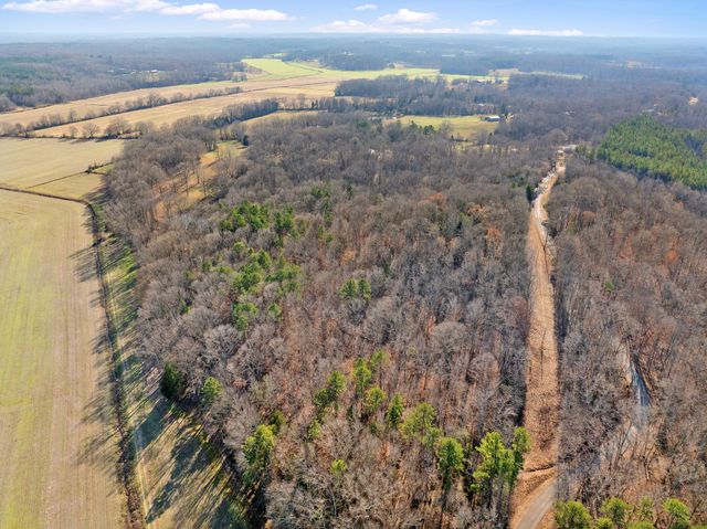 2855 Pine Knob Rd, Lexington, TN 38351