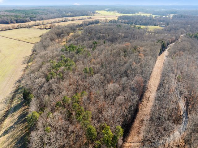 2855 Pine Knob Rd, Lexington, TN 38351