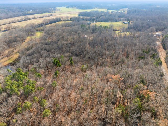2855 Pine Knob Rd, Lexington, TN 38351