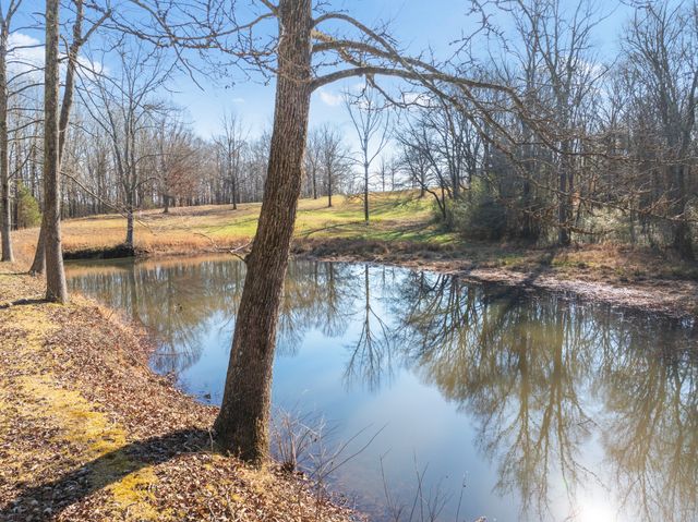 2855 Pine Knob Rd, Lexington, TN 38351