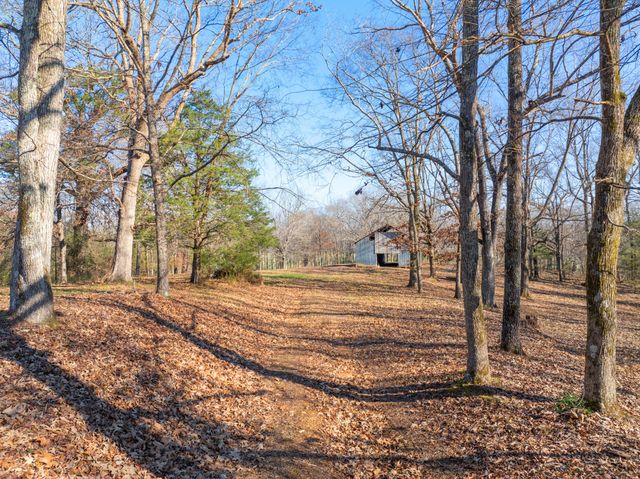 2855 Pine Knob Rd, Lexington, TN 38351