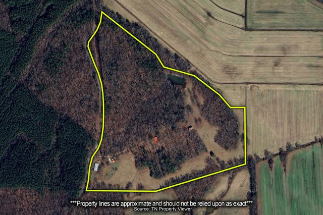2855 Pine Knob Rd, Lexington, TN 38351