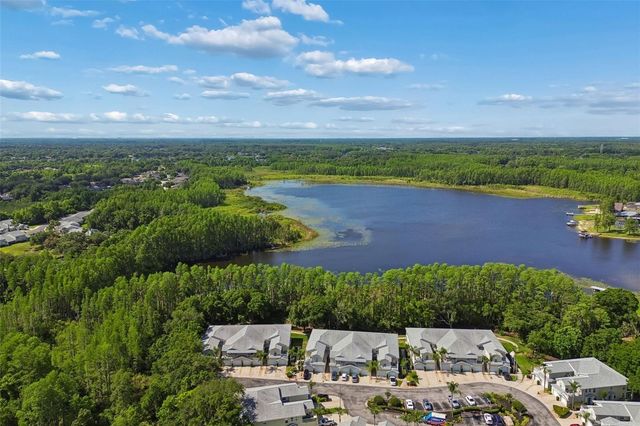 1633 HAMMOCKS AVENUE 1633, Lutz, FL 33549