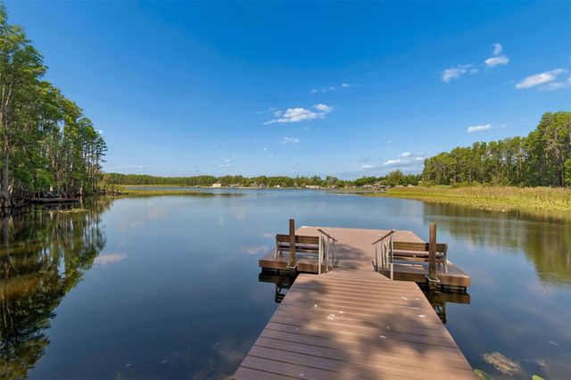 1633 HAMMOCKS AVENUE 1633, Lutz, FL 33549