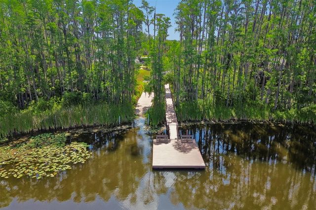 1633 HAMMOCKS AVENUE 1633, Lutz, FL 33549