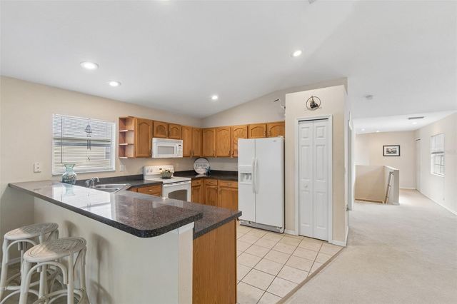 1633 HAMMOCKS AVENUE 1633, Lutz, FL 33549