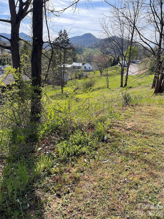00 Locust Street, Canton, NC 28716