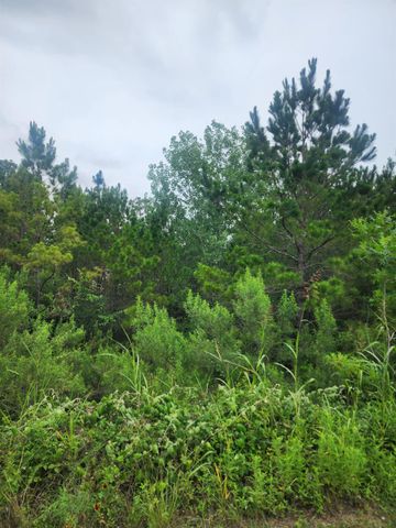 lot 70 Lakeside DR, Bastrop, TX 78602
