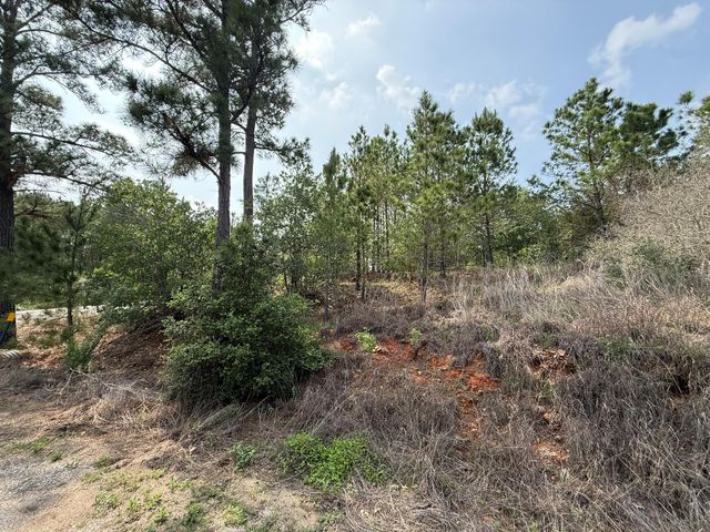 lot 70 Lakeside DR, Bastrop, TX 78602