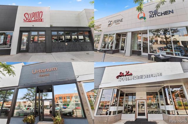 1713 Pallister Street P27, Detroit, MI 48206