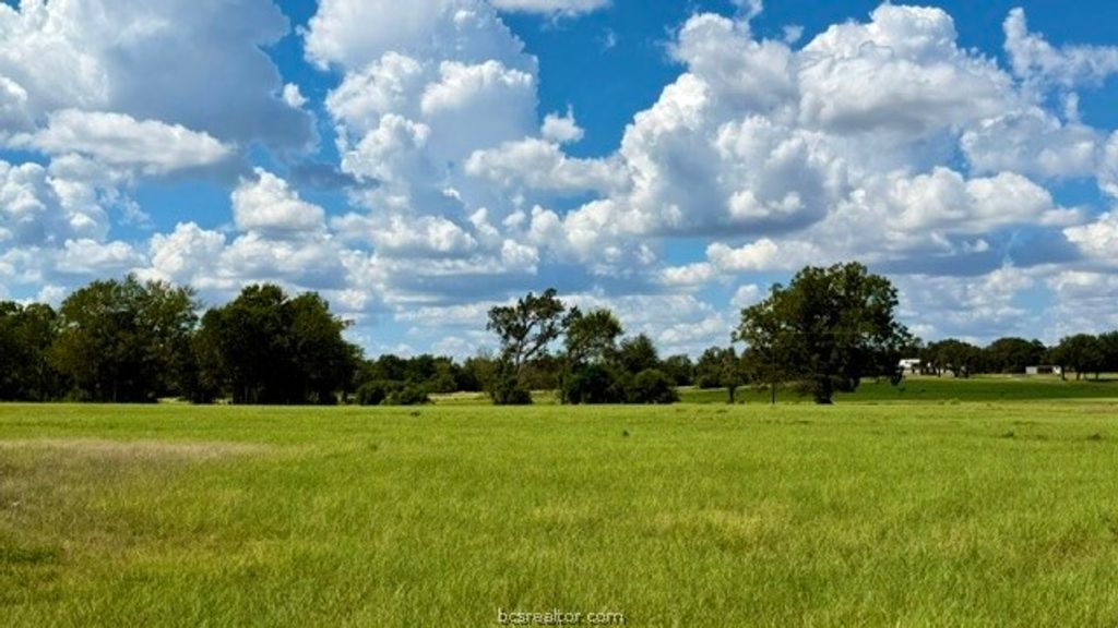 TBD US Hwy 79 (+/-11.5 acres), Gause, TX 77857 — photo 3