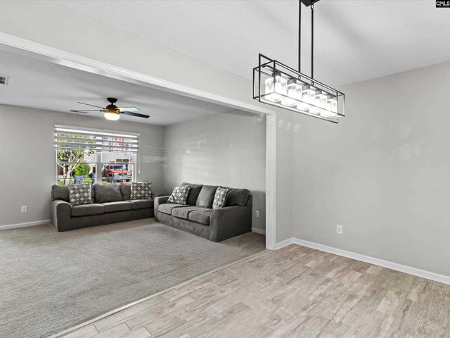 117 Peregrine Court, Chapin, SC 29036
