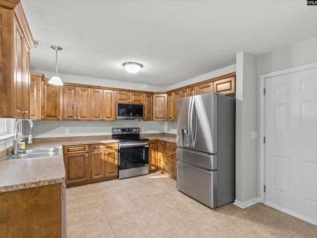 117 Peregrine Court, Chapin, SC 29036