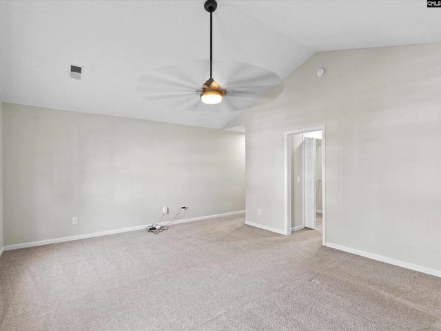 117 Peregrine Court, Chapin, SC 29036