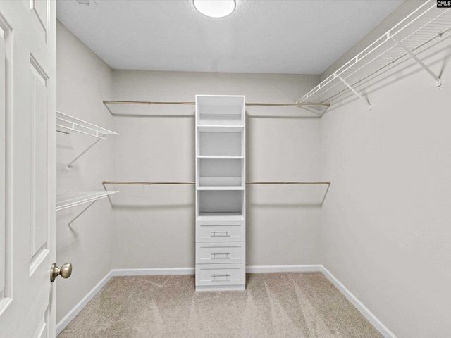 117 Peregrine Court, Chapin, SC 29036