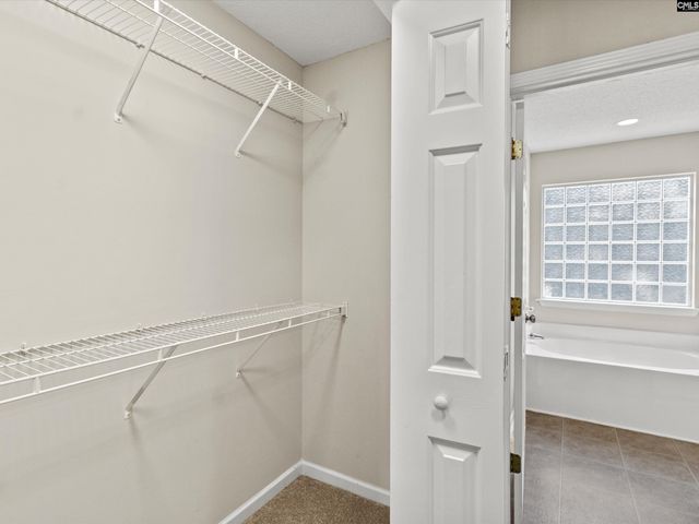 117 Peregrine Court, Chapin, SC 29036