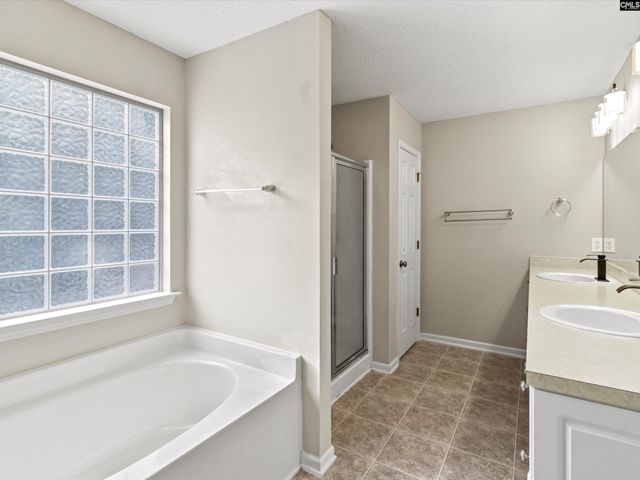 117 Peregrine Court, Chapin, SC 29036
