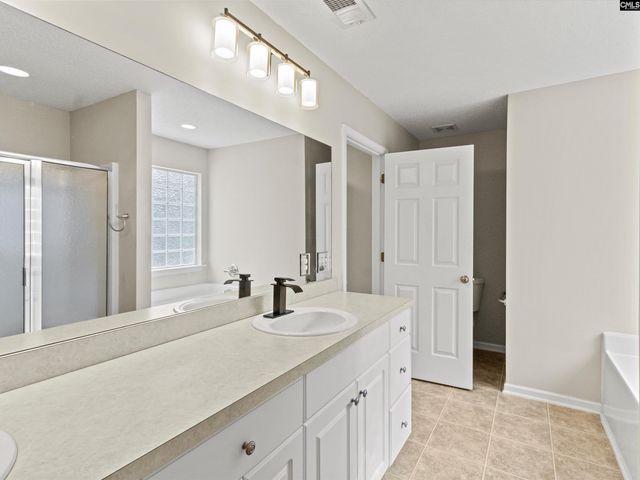 117 Peregrine Court, Chapin, SC 29036