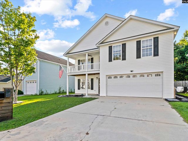 117 Peregrine Court, Chapin, SC 29036
