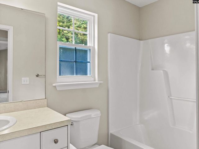 117 Peregrine Court, Chapin, SC 29036