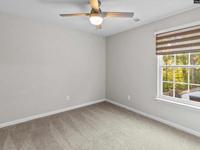 117 Peregrine Court, Chapin, SC 29036