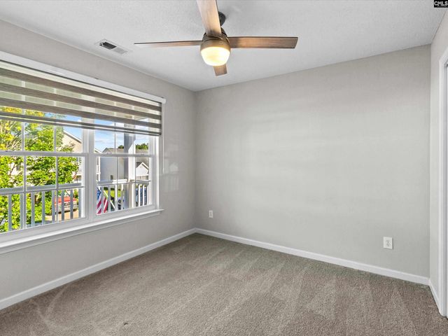 117 Peregrine Court, Chapin, SC 29036